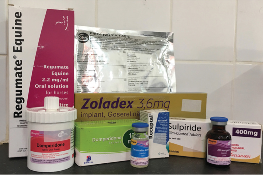 Figure 3. A selection of treatments used in the management of the transitional mare.