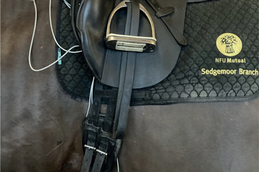 Figure 1. Lead placement for exercising electrocardiogram using the Televet 100 system1, with the leads behind the rider's leg position low down to avoid interference from the rider.