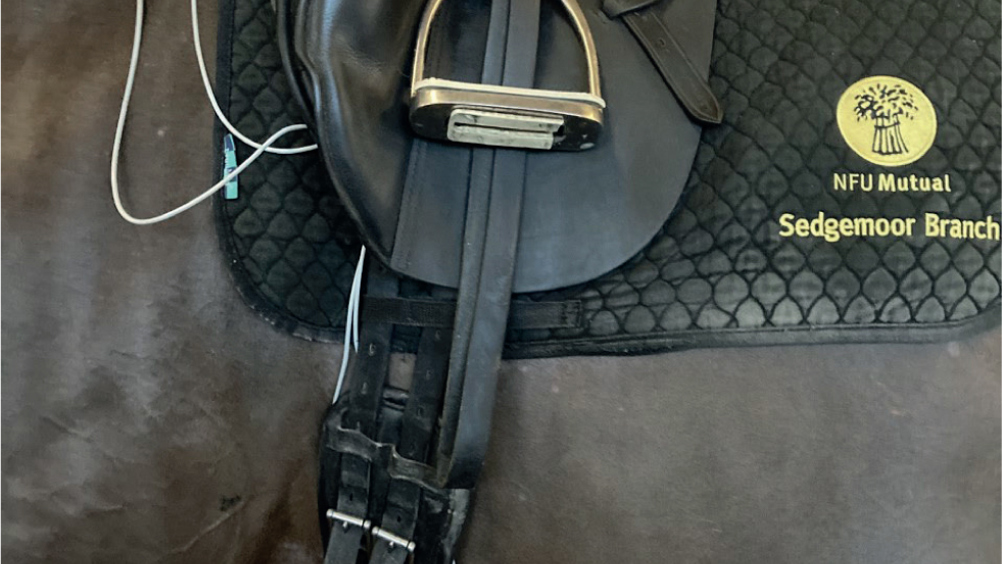 Figure 1. Lead placement for exercising electrocardiogram using the Televet 100 system1, with the leads behind the rider's leg position low down to avoid interference from the rider.