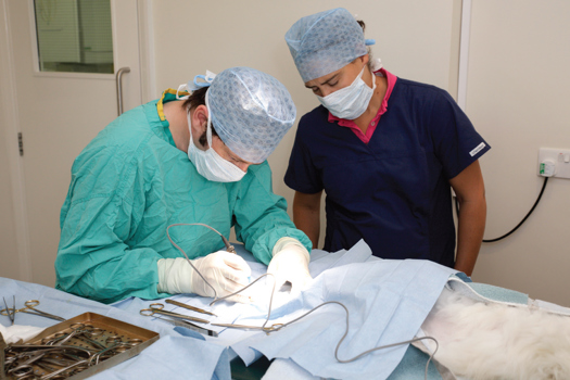 Figure 2. Surgeon and assistant in appropriate theatre wear.