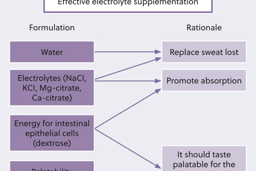 Figure 2. Conceptual diagram illustrating requirements for effective water and electrolyte replacement. Created by the author using Biorender. NaCl: sodium chloride; KCl: potassium chloride; Mg-citrate: magnesium citrate; Ca-citrate: calcium citrate.