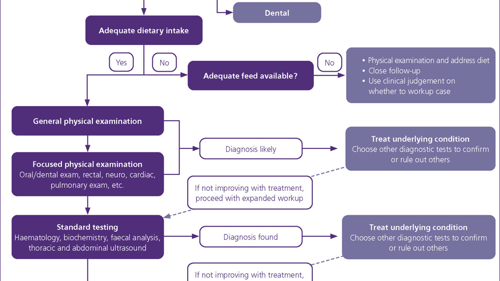Figure 1. Suggested algorithm for the diagnostic work-up of adult horses with weight loss.