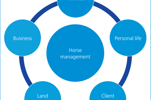 Figure 1. The interconnected components of livery yard management.