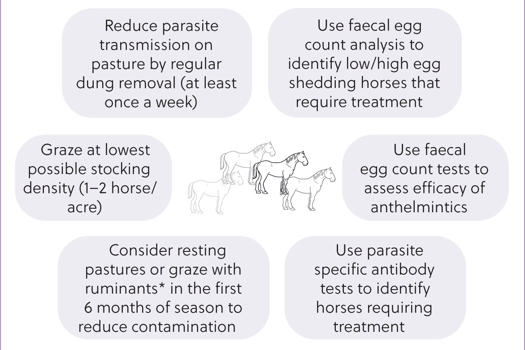 Figure 1. Key components of sustainable equine helminth control programmes. *Note: this practice is not suitable or effective to reduce F. hepatica.